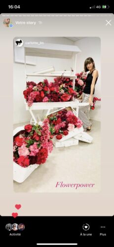 Installation scénographique composée de brouettes blanches débordant de fleurs rouges et roses, utilisée comme décoration de vitrine dans un espace intérieur contemporain.