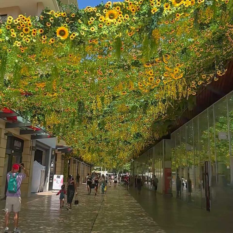 installation flower sky