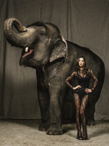 Mannequin posant en tenue élégante et transparente noire, debout à côté d’un éléphant, dans une ambiance sophistiquée de studio mode.