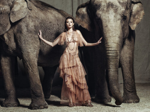 Mannequin en robe longue vaporeuse nude, pose élégante entre deux éléphants, créant un contraste saisissant entre la mode sophistiquée et l’environnement sauvage.