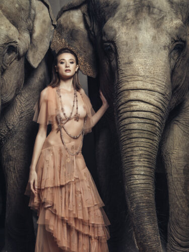 Mannequin en robe fluide nude aux détails vaporeux, posant entre deux éléphants, créant un contraste saisissant entre élégance haute couture et majesté animale.
