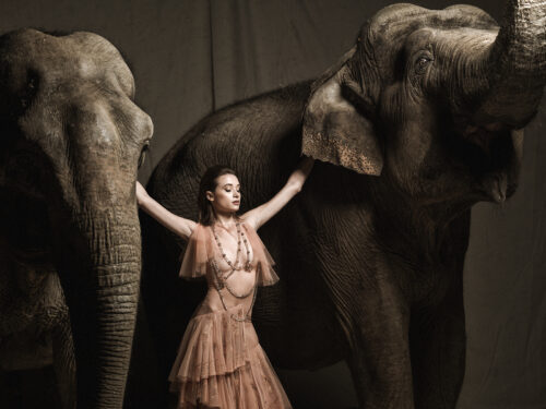 Mannequin en robe longue élégante couleur nude, posant entre deux éléphants dans une ambiance sophistiquée, mettant en valeur une esthétique mode avant-gardiste et raffinée.