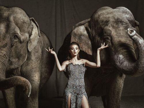Mannequin posant en robe élégante à paillettes entre deux éléphants, ambiance sophistiquée et contraste marqué entre mode haute couture et environnement animalier.